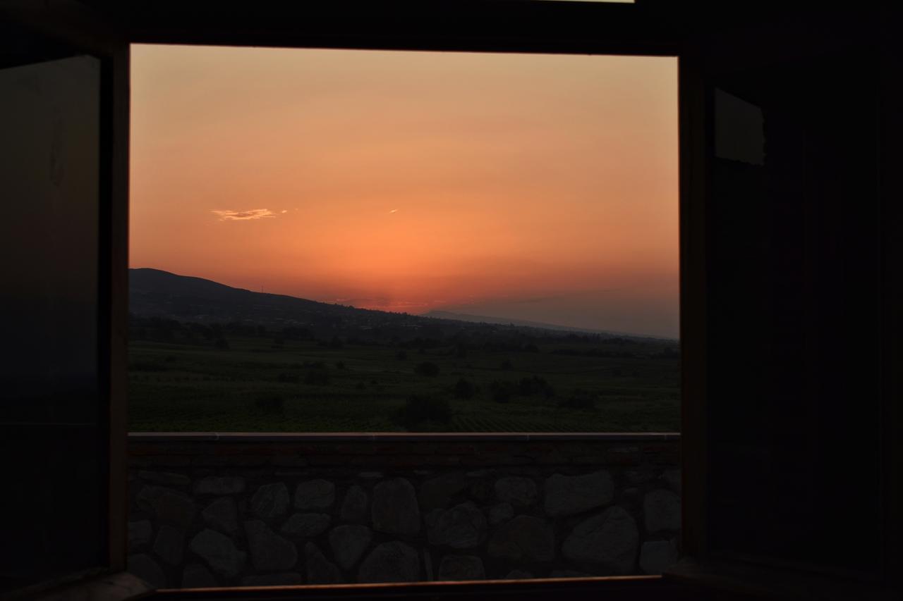Willa Elizbar Talakvadze Winery Kardanakhi Zewnętrze zdjęcie