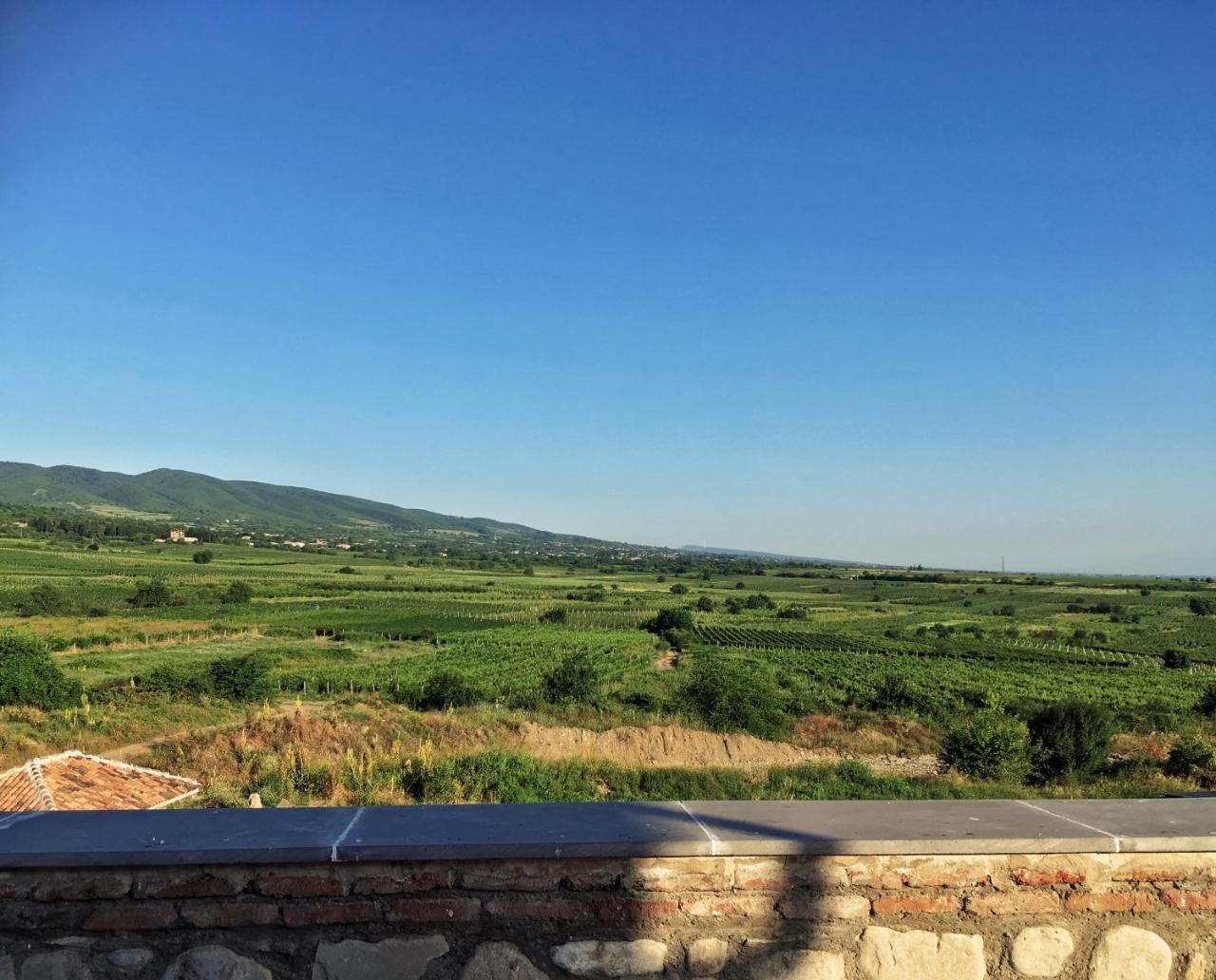Willa Elizbar Talakvadze Winery Kardanakhi Zewnętrze zdjęcie